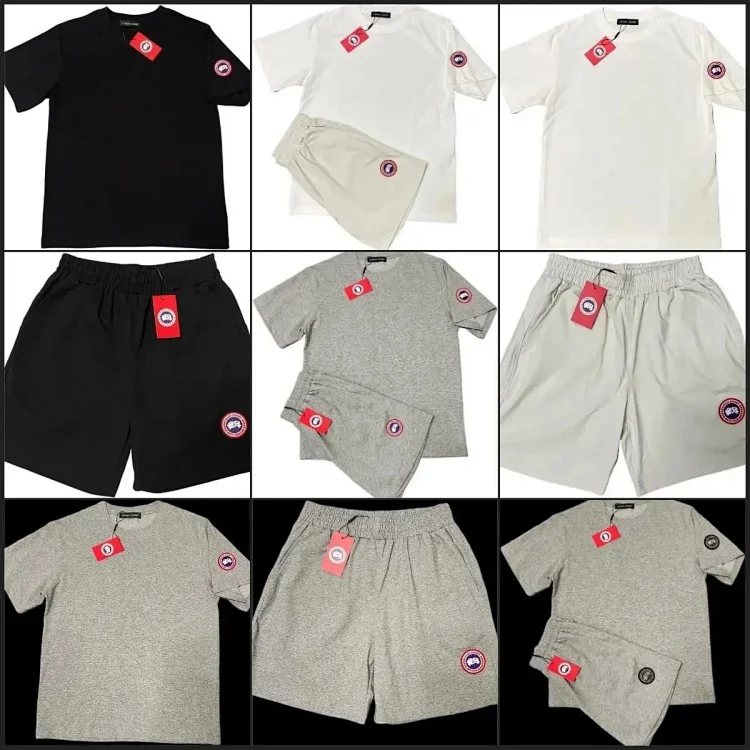 Stone Island · Μπλουζάκια / 2654